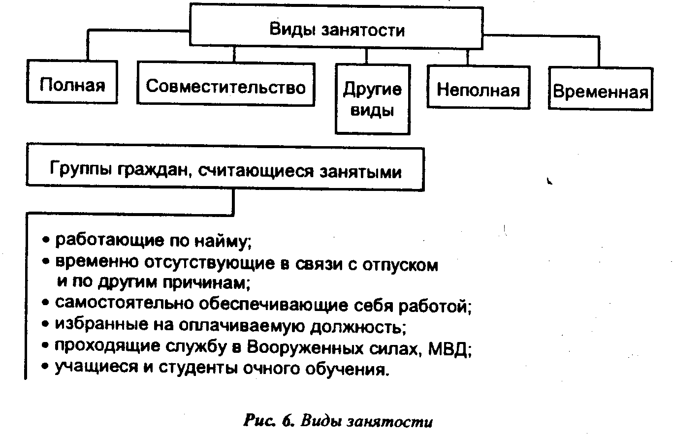 Трудовое право экономика. Понятие и виды занятости. Понятие и формы занятости Трудовое право. Тип занятости виды. Виды занятости схема.